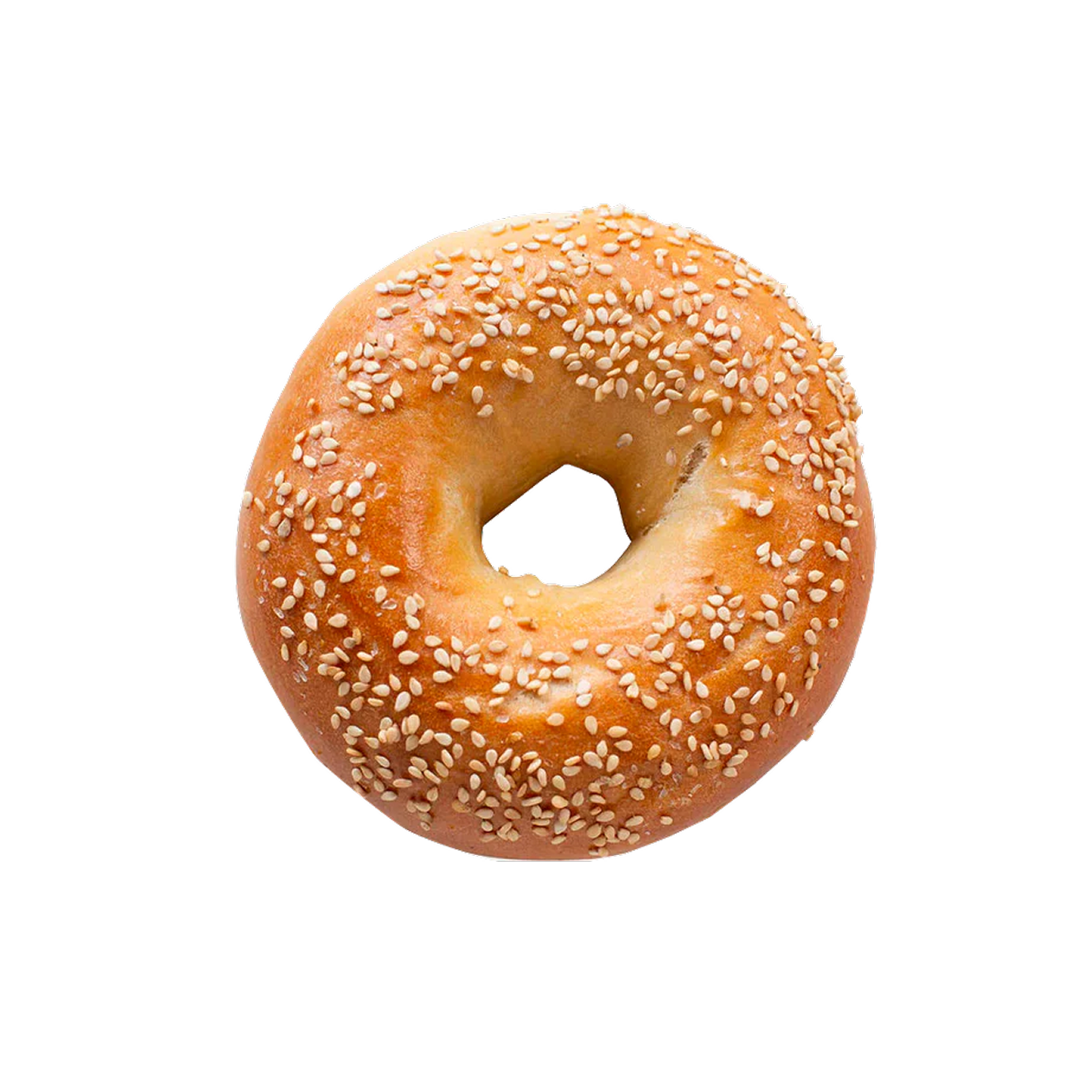 Bagel